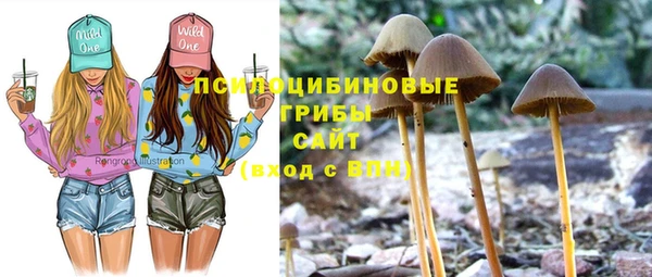 стафф Елабуга