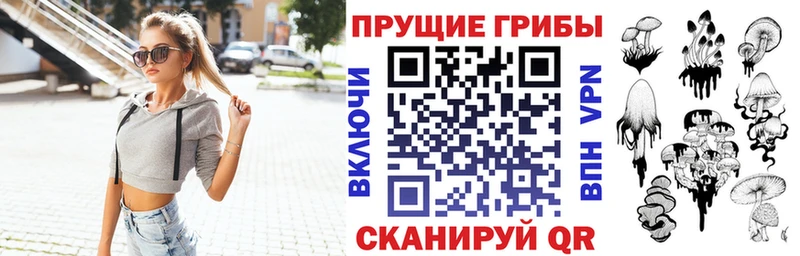 Галлюциногенные грибы Psilocybe  kraken рабочий сайт  Лесной 