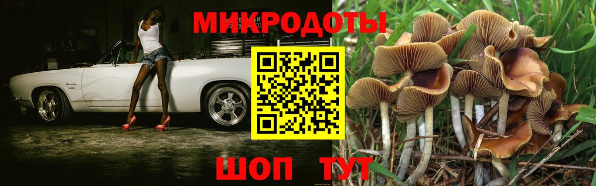 Галлюциногенные грибы ЛСД  Вход с VPN  Лесной  что такое   Псилоцибиновые грибы мицелий 